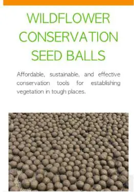 Pile of wildflower seed balls